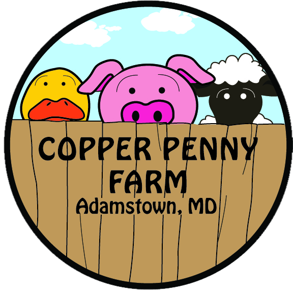 Adamstown CopperPennyF Logo - color no clouds.png