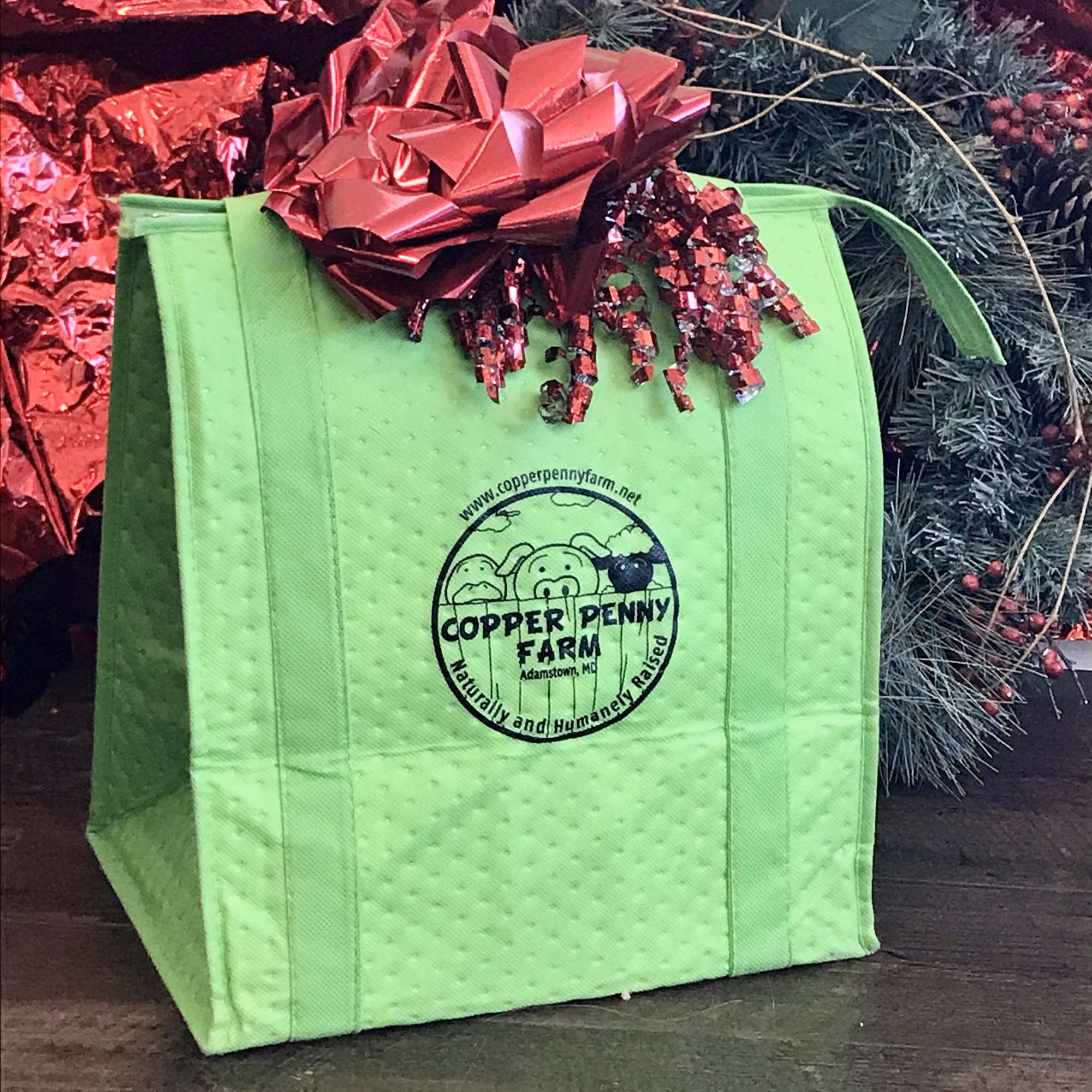 delivery-bag-holiday.jpg