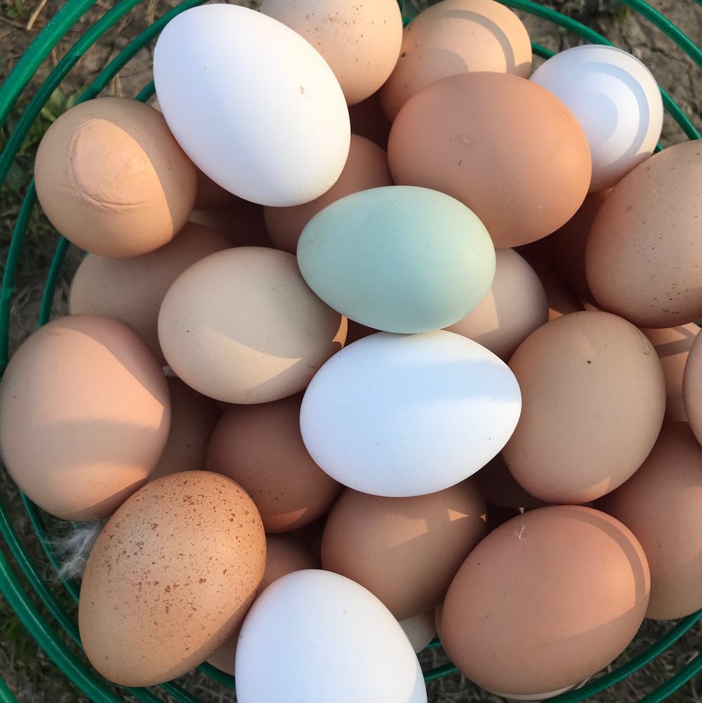 egg-basket.jpg